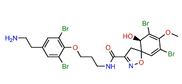 Araplysillin I